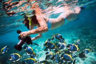 Snorkeling trip in Fujairah