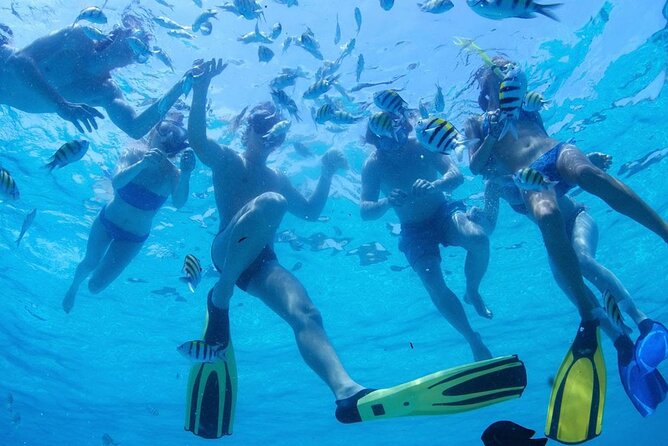 From Dubai: Snorkeling trip in Fujairah - Drinks, food, and the small details