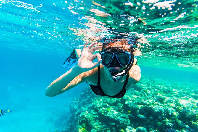 From Dubai: Snorkeling trip in Fujairah - Booking, passports, and cancellation