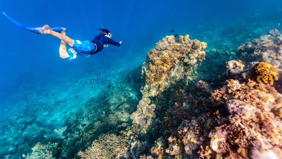 From Dubai: Snorkeling Trip to Dibba Al-Fujairah - The long morning from Dubai to Fujairah