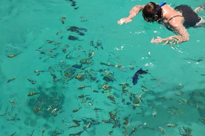 From Dubai to Norway of Arabia | KHASAB | Telegraph Island | OMAN - Why Khasab feels so different from Dubai