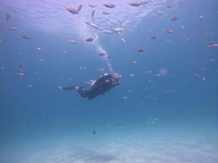 From Dubai: Try Scuba Diving, Snorkeling with BBQ & Transfer - Why Fujairah works better than a quick Dubai beach activity