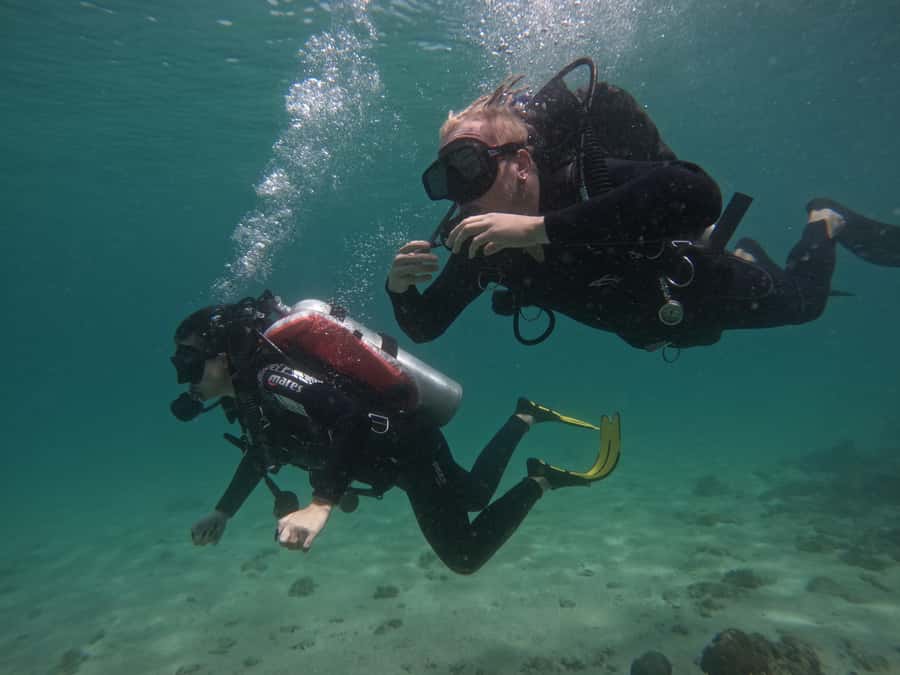 From Dubai: Try Scuba Diving, Snorkeling with BBQ & Transfer - Snoopy Island and the first sea session