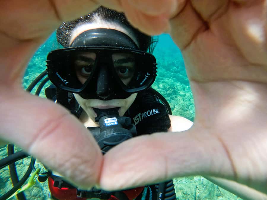 From Dubai: Try Scuba Diving, Snorkeling with BBQ & Transfer - Sharm Rocks and the search for turtles