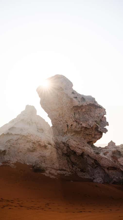 From Dubai: Zerzura Dune Buggy Experience & Fossil Discovery - Is $136 per person a fair price?