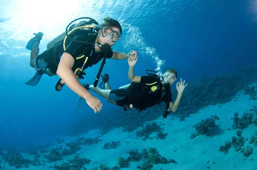 Fujairah: 2 Fun Dive Experience for Certified Divers - Key points before you book