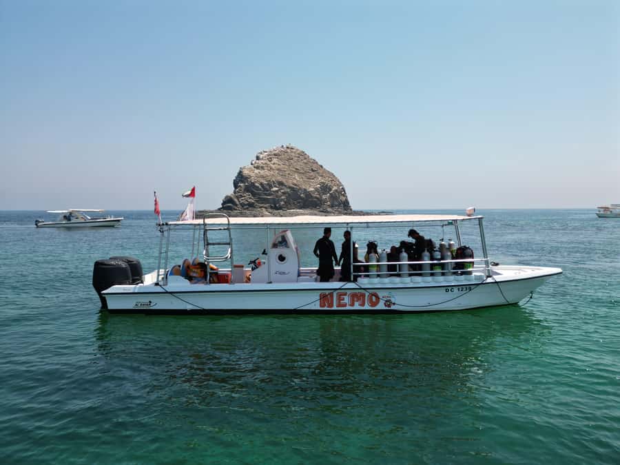 Fujairah: 2 Fun Dive Experience for Certified Divers - What this Fujairah scuba outing is really like