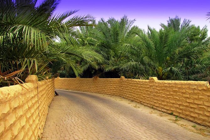 Full Day Al Ain tour with Lunch from Dubai - The camel market is the day’s strongest stop
