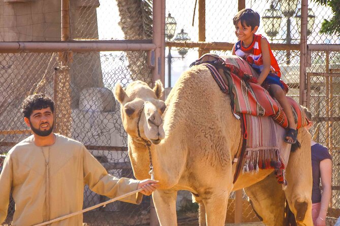 Full Day Small Group Abu Dhabi City Guided Tour - Ferrari World and Yas Island from the outside
