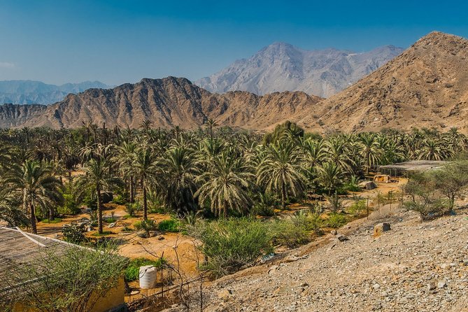 Hatta Mountain Adventure Tour - Markets, photo stops, and the parts that can change