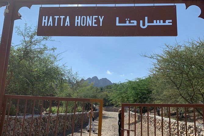 Hatta Mountain Tour Discoverd Hidden Dubai Gems - Hatta Hill Park and the mountain view
