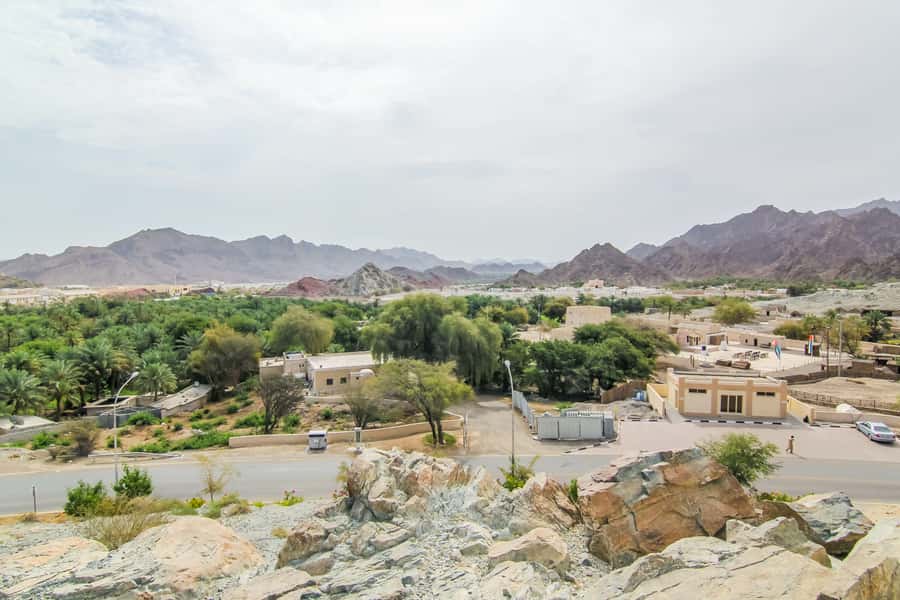 Hatta Safari & Honey Bee Garden Visit - Leaving Dubai before the heat