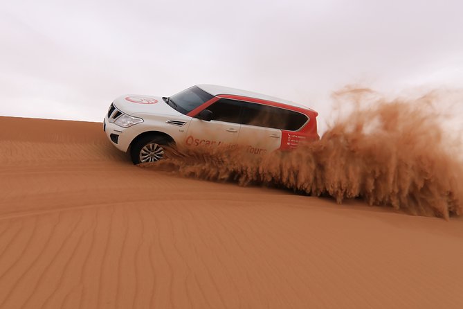 High Red Dunes with Camel Ride, Sandboarding, Falcon Show and VIP BBQ Dinner - The $80 package and what you actually get