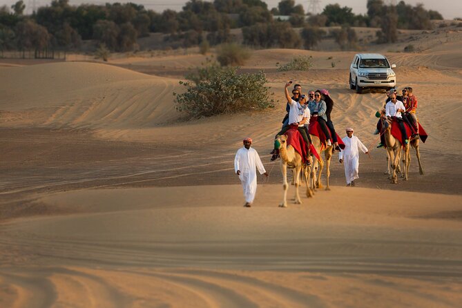 High Red Dunes with Camel Ride, Sandboarding, Falcon Show and VIP BBQ Dinner - Sandboarding on soft desert slopes