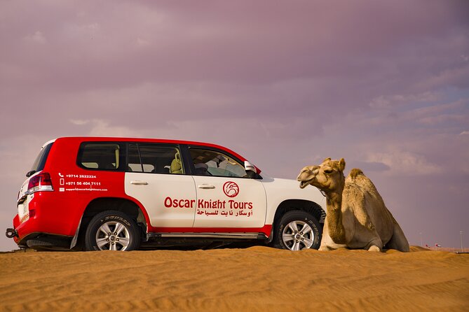 High Red Dunes with Camel Ride, Sandboarding, Falcon Show and VIP BBQ Dinner - Falconry, henna, and small cultural activities