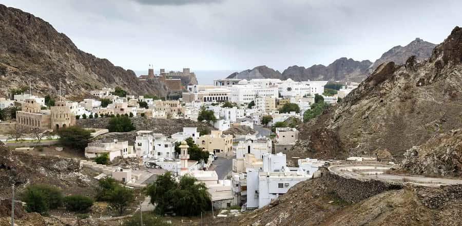 Khasab: Private City Tour and Wadi Qadah - Rock art showing camels, ships, and warriors