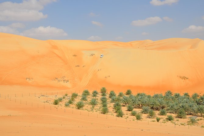 Liwa Full Day Desert Safari (exploring) - What makes this Liwa safari worth your day