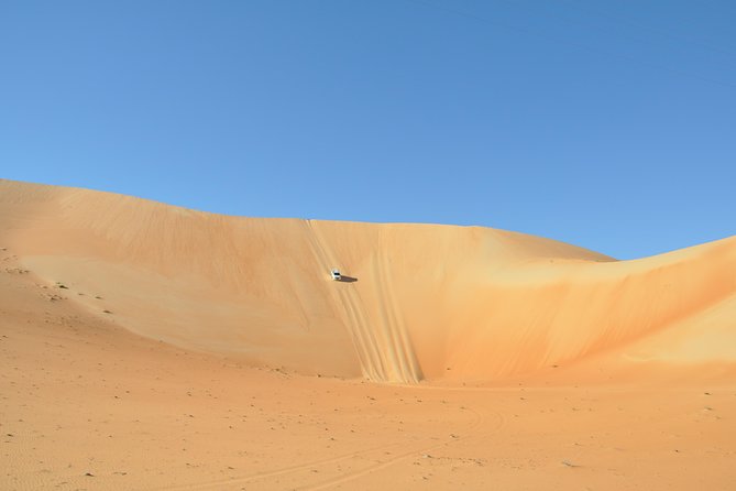 Liwa Full Day Desert Safari (exploring) - The fort and a glimpse of older Liwa