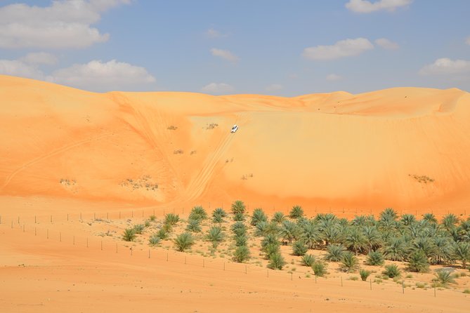 Liwa Full Day Desert Safari from Abu Dhabi - A 9:00 am start and a long desert approach