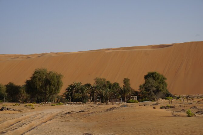Liwa Full Day Desert Safari from Abu Dhabi - Liwa Fort, castles, and the oasis lunch
