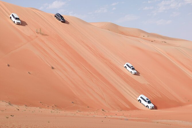 Liwa Oasis Desert Drive from Abu Dhabi - Key things to know before you book