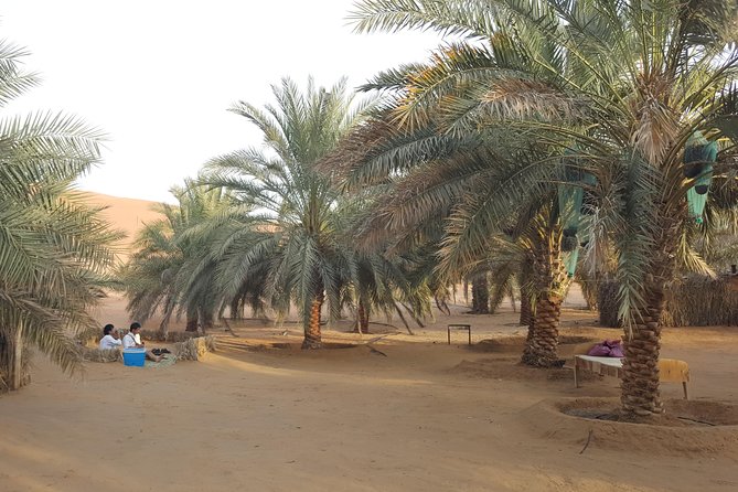 Liwa Oasis Desert Drive from Abu Dhabi - What the private format means at $350
