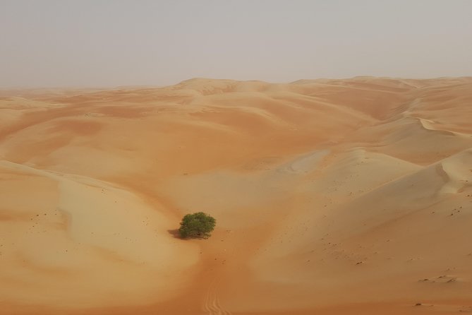 Liwa Oasis Desert Drive from Abu Dhabi - Practical details that affect your day