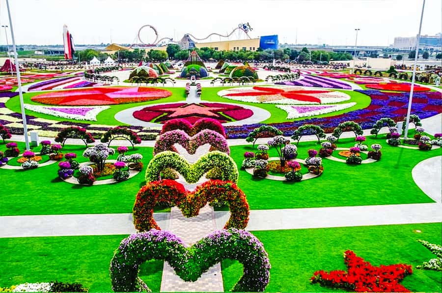 Miracle Flora & Fauna Marvels at Miracle Garden - Why Dubai’s flower gardens make a good break from the city