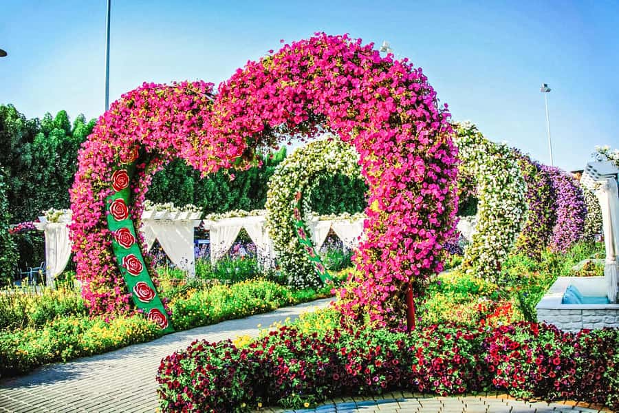 Miracle Flora & Fauna Marvels at Miracle Garden - Butterfly Garden: nine domes and a compact visit