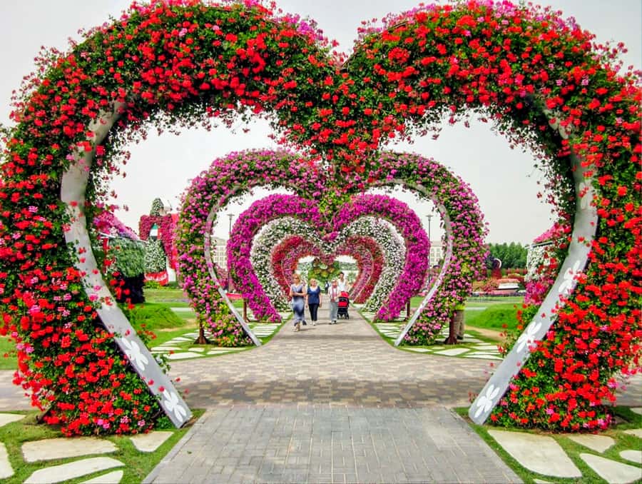 Miracle Flora & Fauna Marvels at Miracle Garden - Miracle Garden and its giant floral structures