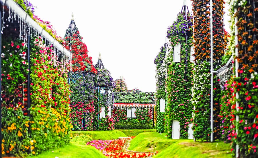 Miracle Flora & Fauna Marvels at Miracle Garden - Who will enjoy this outing most?