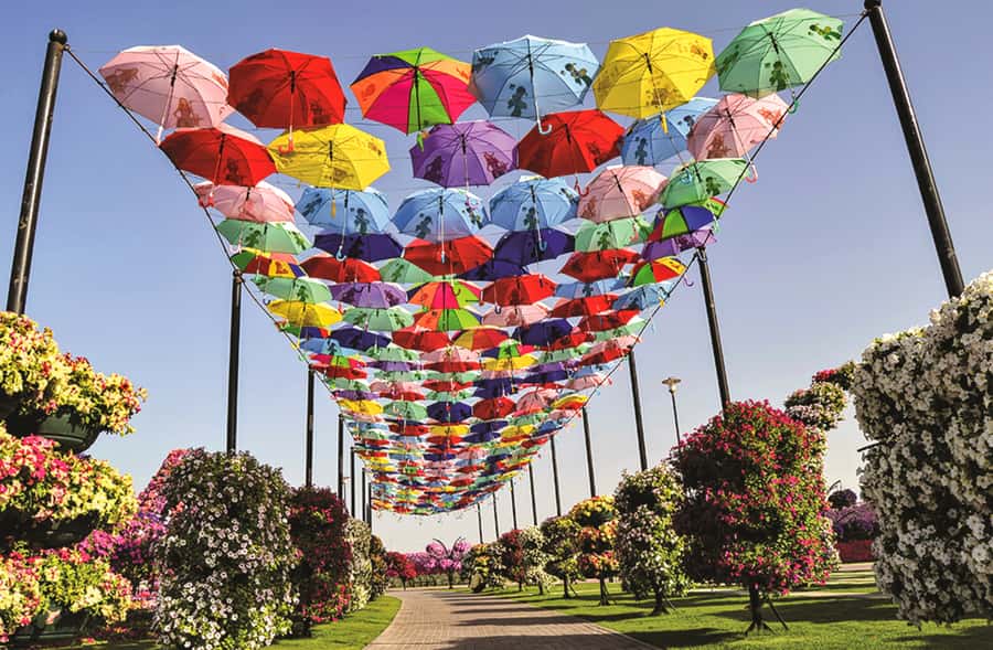 Miracle Flora & Fauna Marvels at Miracle Garden - Hotel pickup and the reality of a four-hour schedule