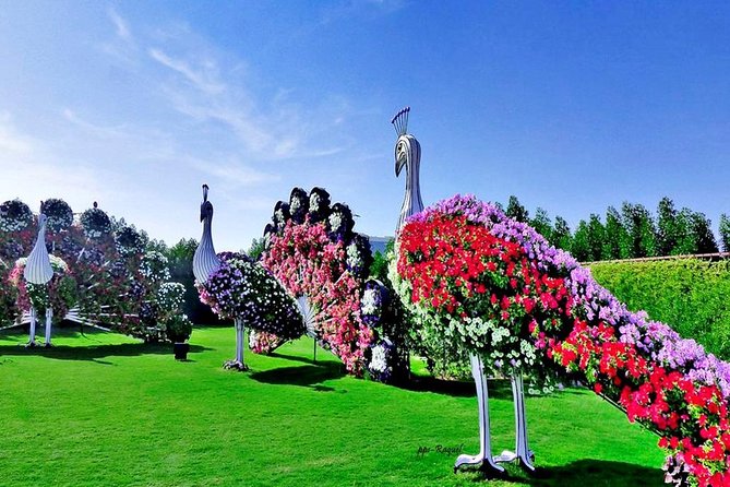 Miracle Garden: Dubai Flora and Fauna 4-Hour Tour - Why the flower designs are the real attraction