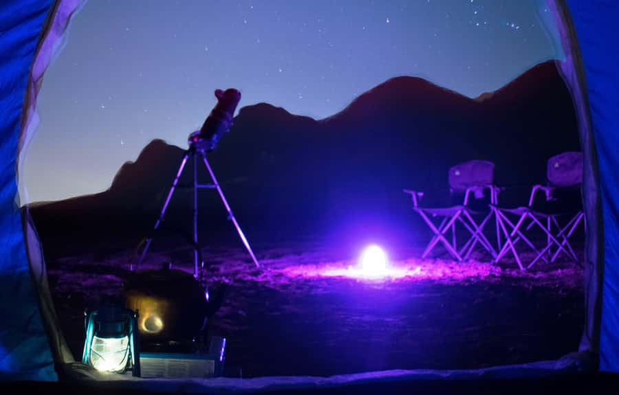 Mleiha Desert Safari with Sandboarding, Stargazing & Dinner - Dune bashing: short, lively, and not for everyone