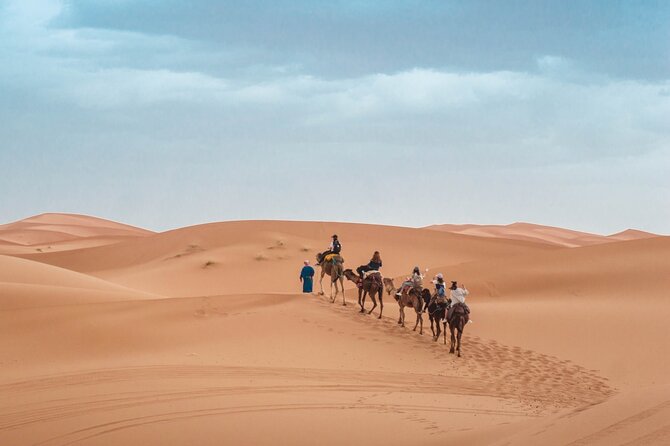 Morning Desert Safari From Abu Dhabi -Camel Ride,Sand Boarding,Camel Farm Visit - Meeting camels at the farm