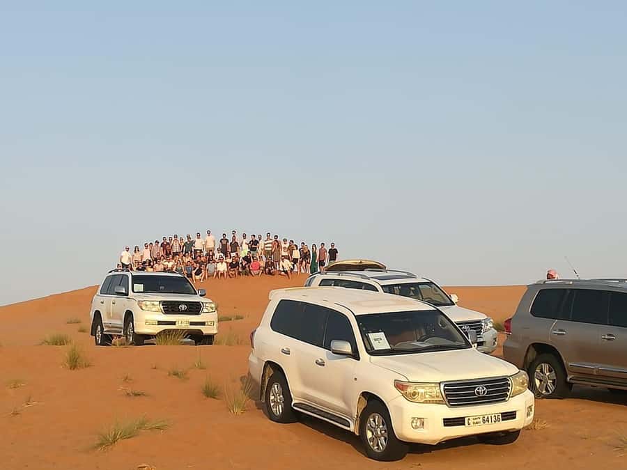 Morning Desert Safari in Ras Al Khaimah - Camel farm: a short visit with a personal touch