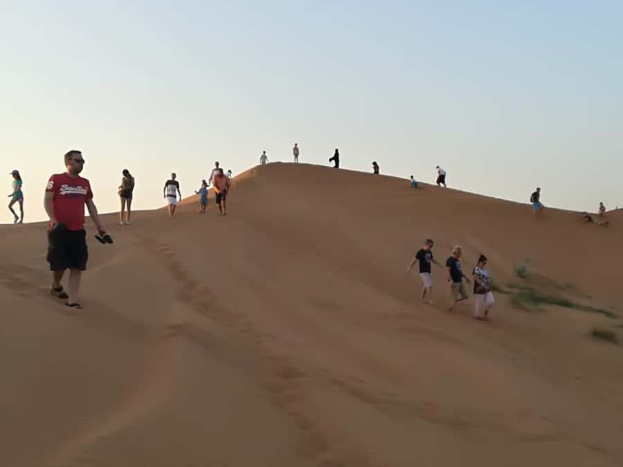 Morning Desert Safari in Ras Al Khaimah - The 45-minute dune ride is the real highlight