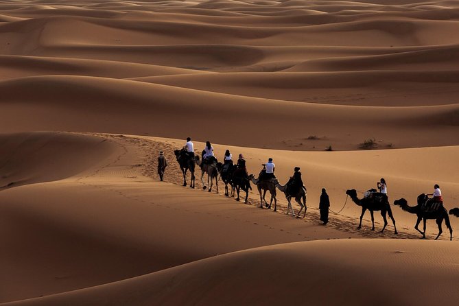 Morning Desert Safari with Dune Bashing and Sand Boarding - Key points to know before booking
