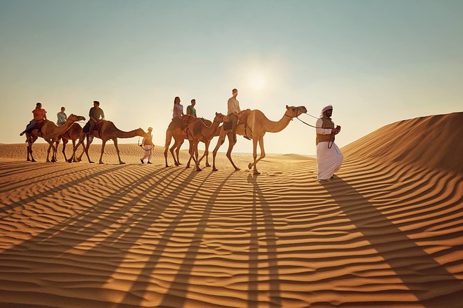 Morning Desert Safari with Quad Bike Tour Abu Dhabi - What the $101.60 price really buys