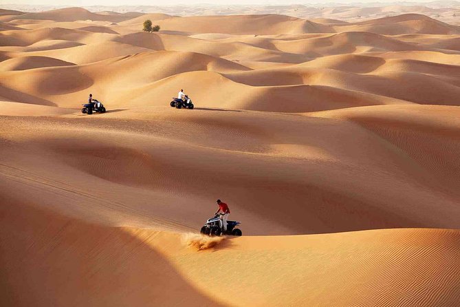 Morning Desert Safari with Quad Bike Tour Abu Dhabi - Morning heat, fog, and practical comfort