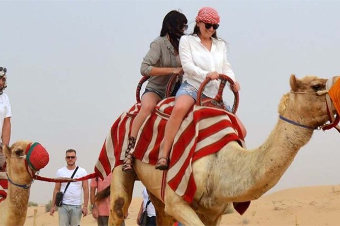 Morning Desert Thrill: Dune Bashing, 30min Quad Bike & Camel Ride - Transport, group size, and the pace of the morning