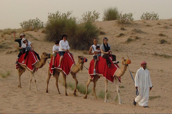 Morning Dubai Desert Dune Bashing and Camel Ride - The main event: about 30 minutes of dune bashing