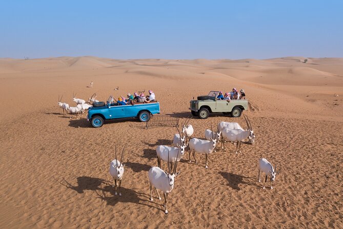 Morning Falconry & Nature Desert Safari with Transfers from Dubai - Searching for oryx from a 1950s Land Rover