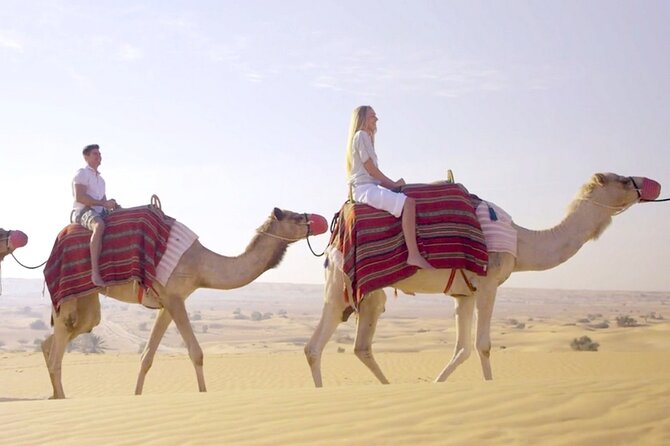 Morning Red Dunes Desert by Quad Bike, Dune Bashing, Camel Ride & Sandboarding - Who should book this morning safari