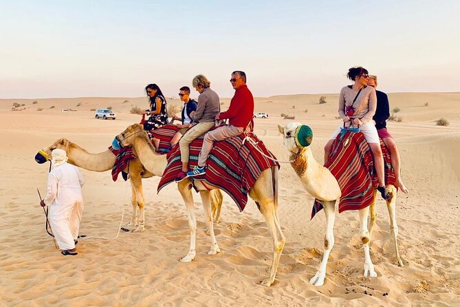 Morning Red Dunes Safari: Camel Ride & Sandboarding Adventure - What the camel ride really offers