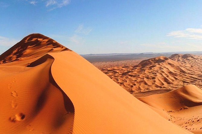 Morning Red Dunes Safari: Camel Ride & Sandboarding Adventure - The 40-minute dune-bashing run