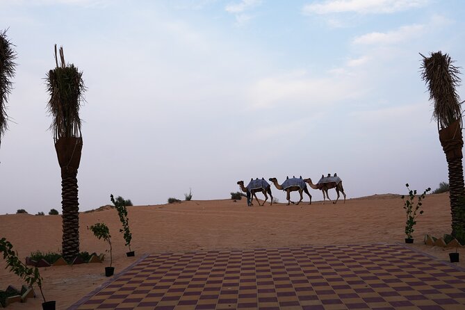 Premium Deluxe Dubai Safari with Camel Ride, Sandboard & BBQ - Tanura, belly dance, fire, and live music