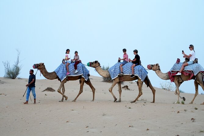 Premium Deluxe Dubai Safari with Camel Ride, Sandboard & BBQ - What the guide can add to the day