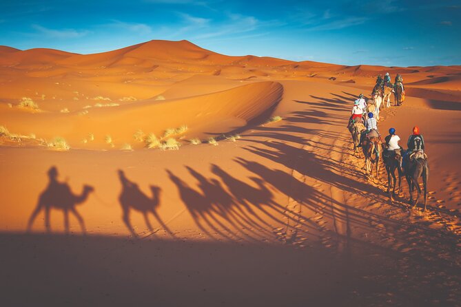 Premium Desert Safari with BBQ Dinner - Dubai - Sunset, photographs, and a short desert pause