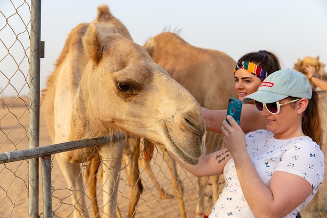 Premium Dubai Desert Safari with BBQ Dinner in the Red Dunes - Sunset camp with henna and tanoura dancing